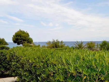 Garmina אוגייאן